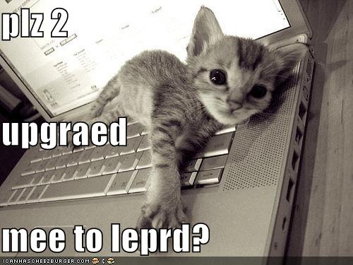 funny-pictures-kitten-macbook-leopard Kitten Dreams of being Leopard, Mac Leopard