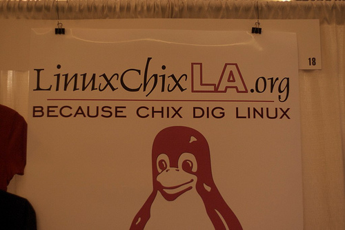 linuxchixla-booth-from-flickr-medium