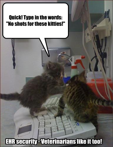 ehrsecurity_baloonvetslike1