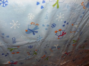 5513896077_2a378bfddd_b